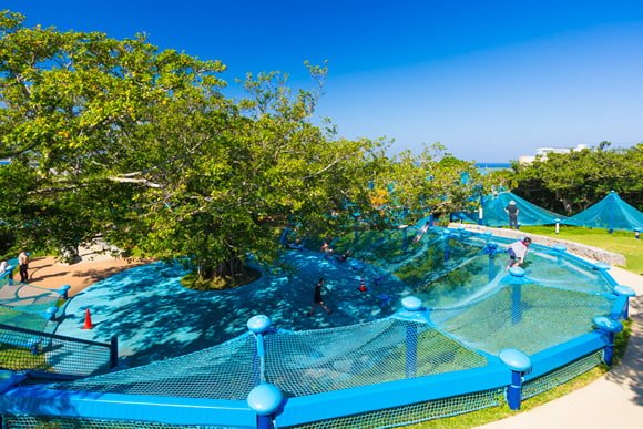 🌳 에코파크 미나마타 이미지 4